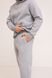 Спортивний костюм чоловічий Good начос сірий меланж Family 01235413 фото 3