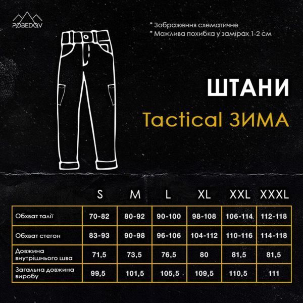 Штани-карго Pobedov trousers Tactical ЗИМА Темно-сірий PNcr1424dge фото